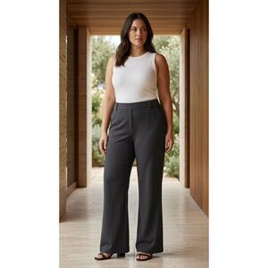 FireSwan Dark charcoal gray 80% Polyester, 20% Spandex Tailored pants | Sz XXL